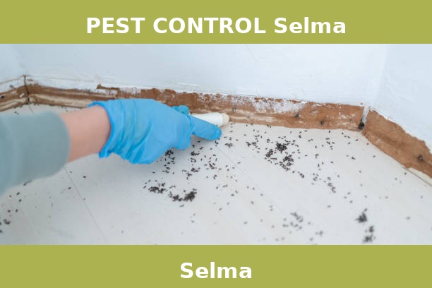 PEST CONTROL Selma